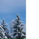 Ілонка Вихопень фотография #13 (источник - https://vk.com/id138294509)