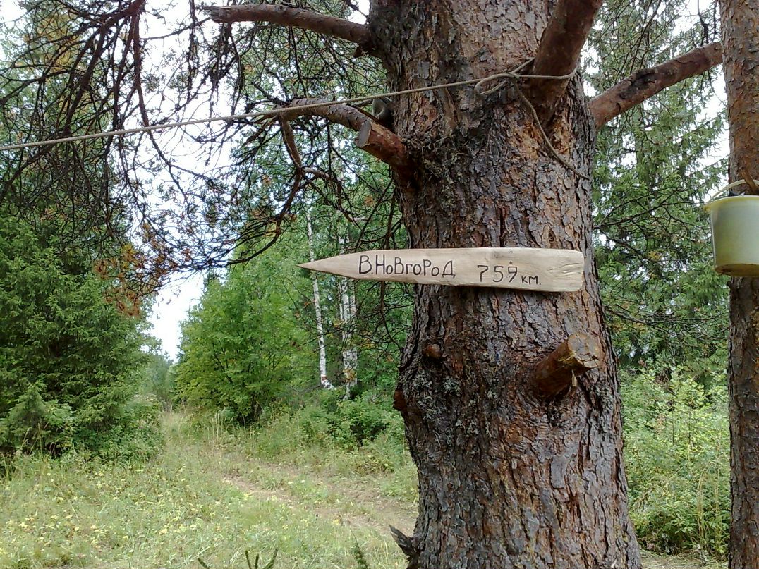 Дима Амплеев фотография #4
