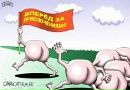 Фотография Тимофеевой Анны