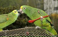 Костянтин Шалін фотография #47 (источник - https://vk.com/id34317568)