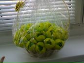 Любовь Κарасева фотография #16 (источник - https://vk.com/id131663452)