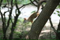 Антон Шумаков фотография #44 (источник - https://vk.com/id2967216)