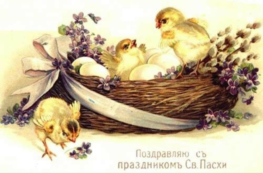 №17, Анастасия Антонюк, Санкт-Петербург №17, Анастасия Антонюк, Санкт-Петербург