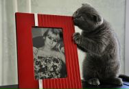 Фотография Чирковой Анастасии