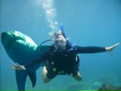 Фотография Kasatkin Dmitry