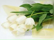 Фотография Макаровой Ольги