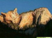 Фотография Райх Юлии