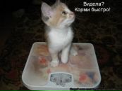 Міра Ставнича фотография #18 (источник - https://vk.com/id6229248)