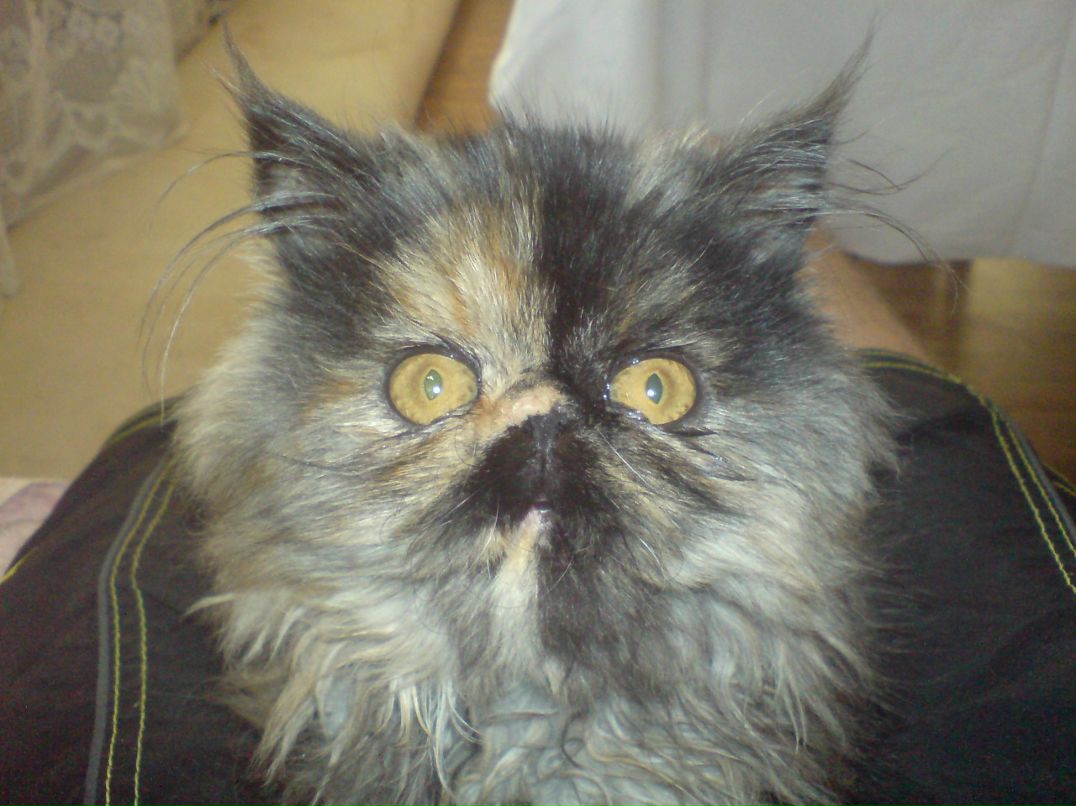 Иван Дорогов фотография #16