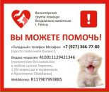 Фотография Кузнецовой Надежды