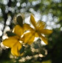 Вероніка Білявська фотография #48 (источник - https://vk.com/id109623200)