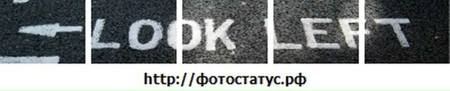 Рома Бізюк фотография #11 (источник - https://vk.com/id17020498)