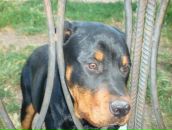 Сергій Жуков фотография #13 (источник - https://vk.com/id30623669)