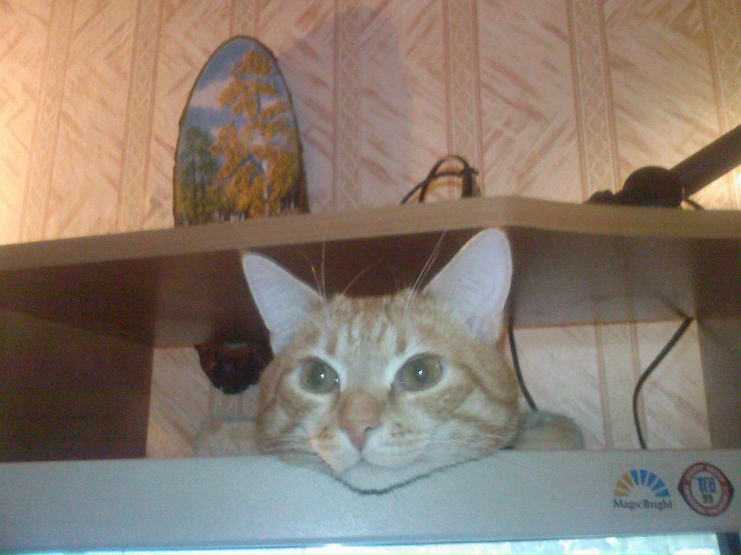 Валентин Матвеев фотография #46