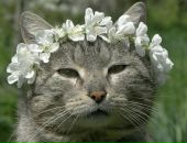 Фотография Рапуто Андрея