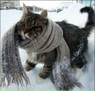 Фотография Троненко Валерия