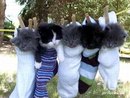 Аріяночка Кіцак фотография #22 (источник - https://vk.com/id164953847)
