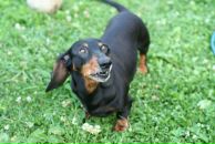 Фотография Цветковой Татьяны