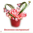 Фотография Кочуковой Любови