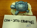 Фотография Соловьевой-Арбатской Анастасии