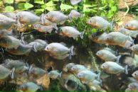 Фотография Барановой Елены