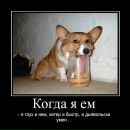 Фотография Газизова Айрата