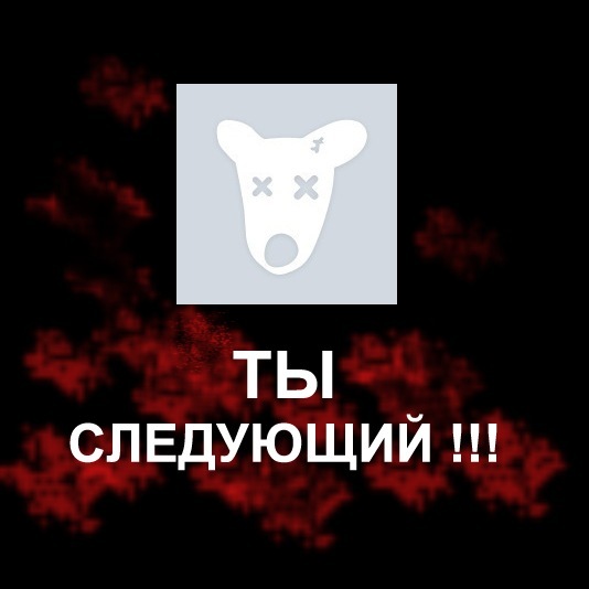 №1, Кирилл Бобров №1, Кирилл Бобров