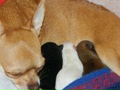 Фотография Светиковой Светик