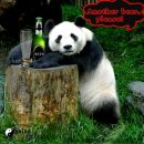 Віталій Притоцький фотография #14 (источник - https://vk.com/id43685205)