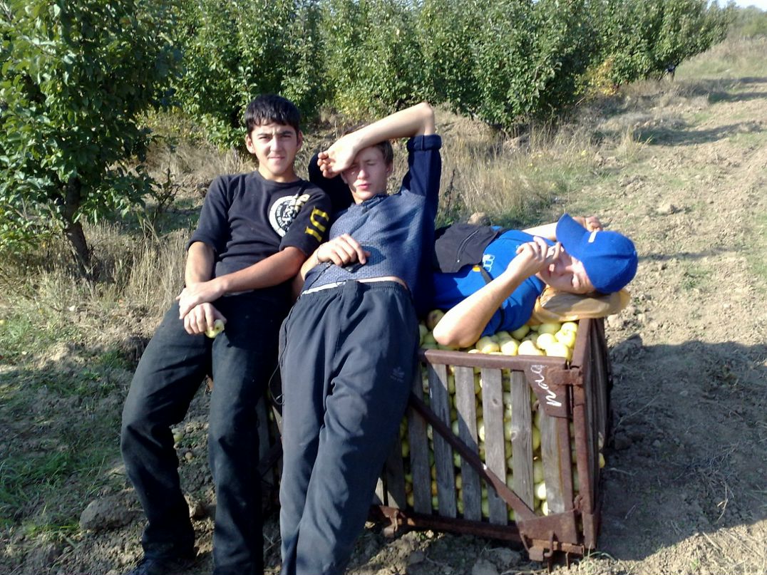 Тимур Велиляев фотография #29