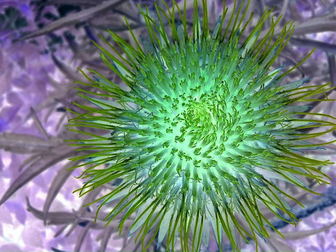 Дмитрий Туркевич фотография #27