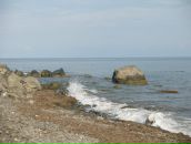 Світлана Лозова фотография #31 (источник - https://vk.com/id8220341)