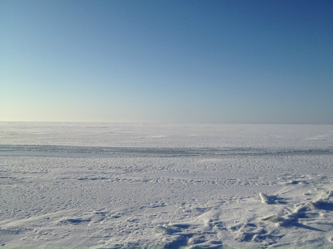 Лена Молодяну фотография #11