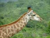 Фотография Юзьковой Ольги