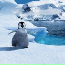 Фотография Вялковой Ольги