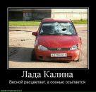 Віталік Ступінський фотография #31 (источник - https://vk.com/id51987355)