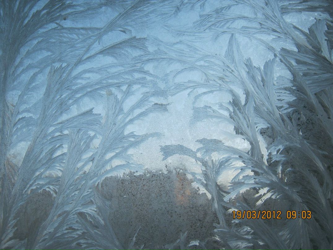 Виктор Ледяев фотография #49