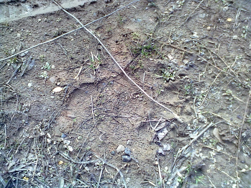 Дмитрий Тунгусков фотография #47