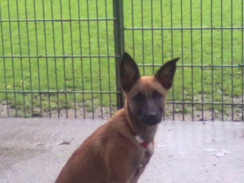 Федор Просто фотография #11