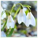 Фотография Se Lena