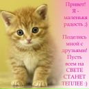 Вікторія Івасенко фотография #1