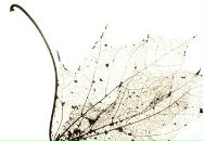 Фотография Алёхиной Айны