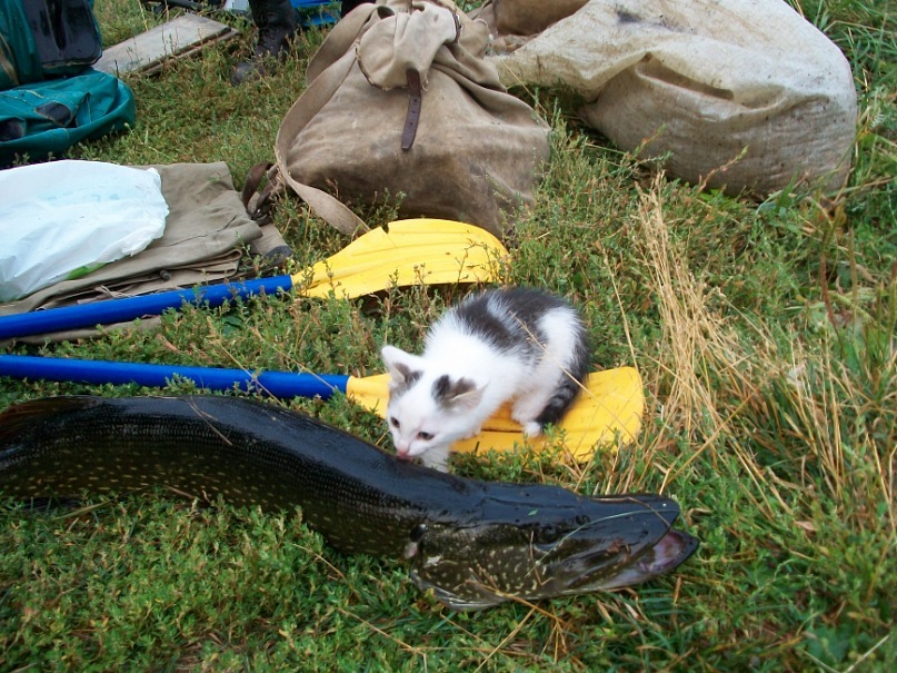 Иван Обухов фотография #4