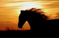 Фотография Гринько Антонины