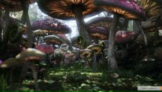 Фотография Чезганова Михи