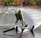 Фотография Vo Darya