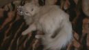 Марина Королева фотография #1