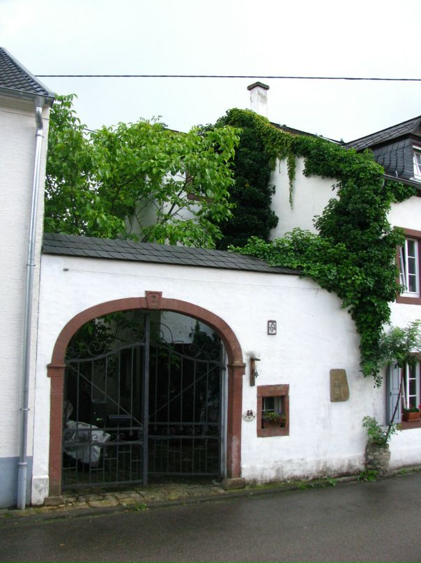 Вера Борисова фотография #38