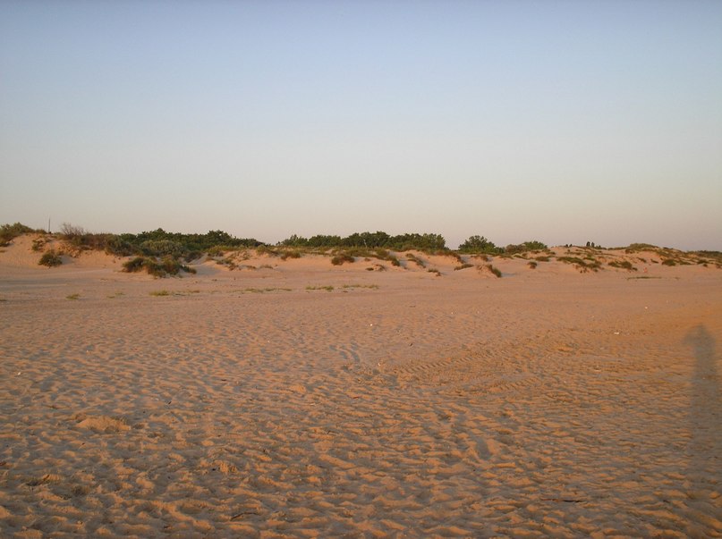 Иван Синицын фотография #15