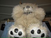 Іван Чабанюк фотография #26 (источник - https://vk.com/id5632145)